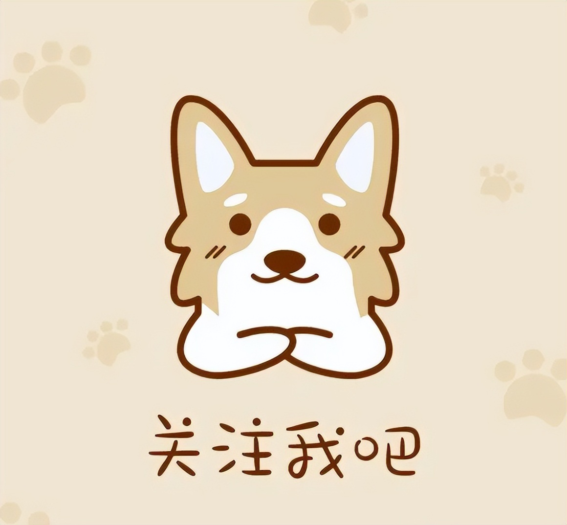 比熊多大的时候可以不关笼子养,怎样养小比熊新手教程