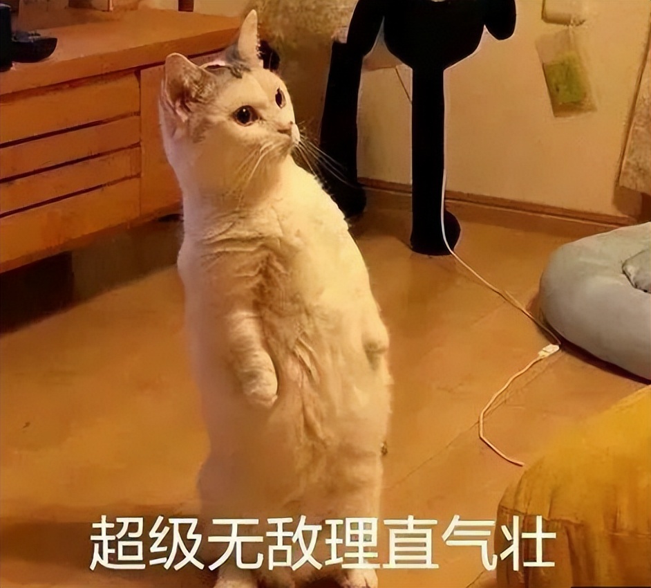 十几年前的联想手机,有年代感的联想手机