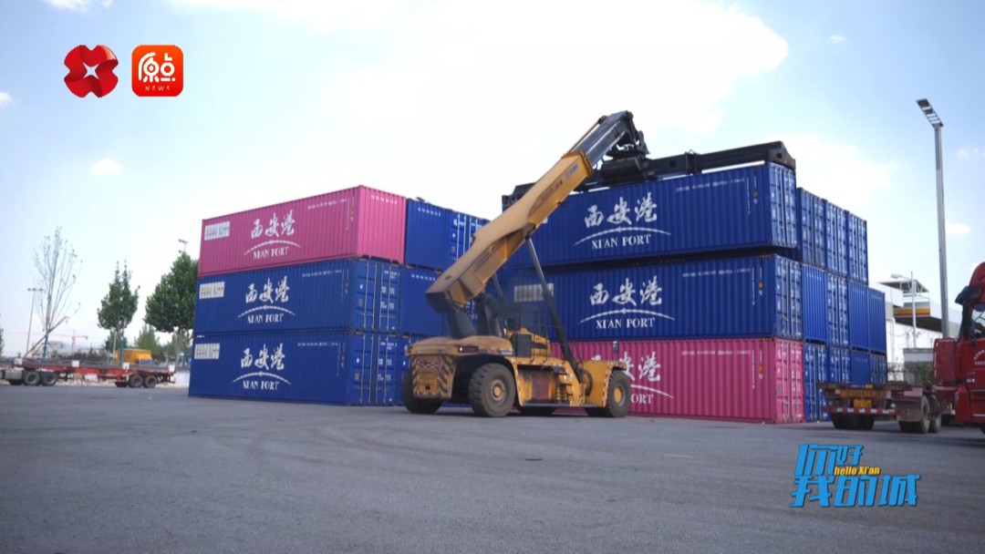 你好我的城,你好我的城在线观看