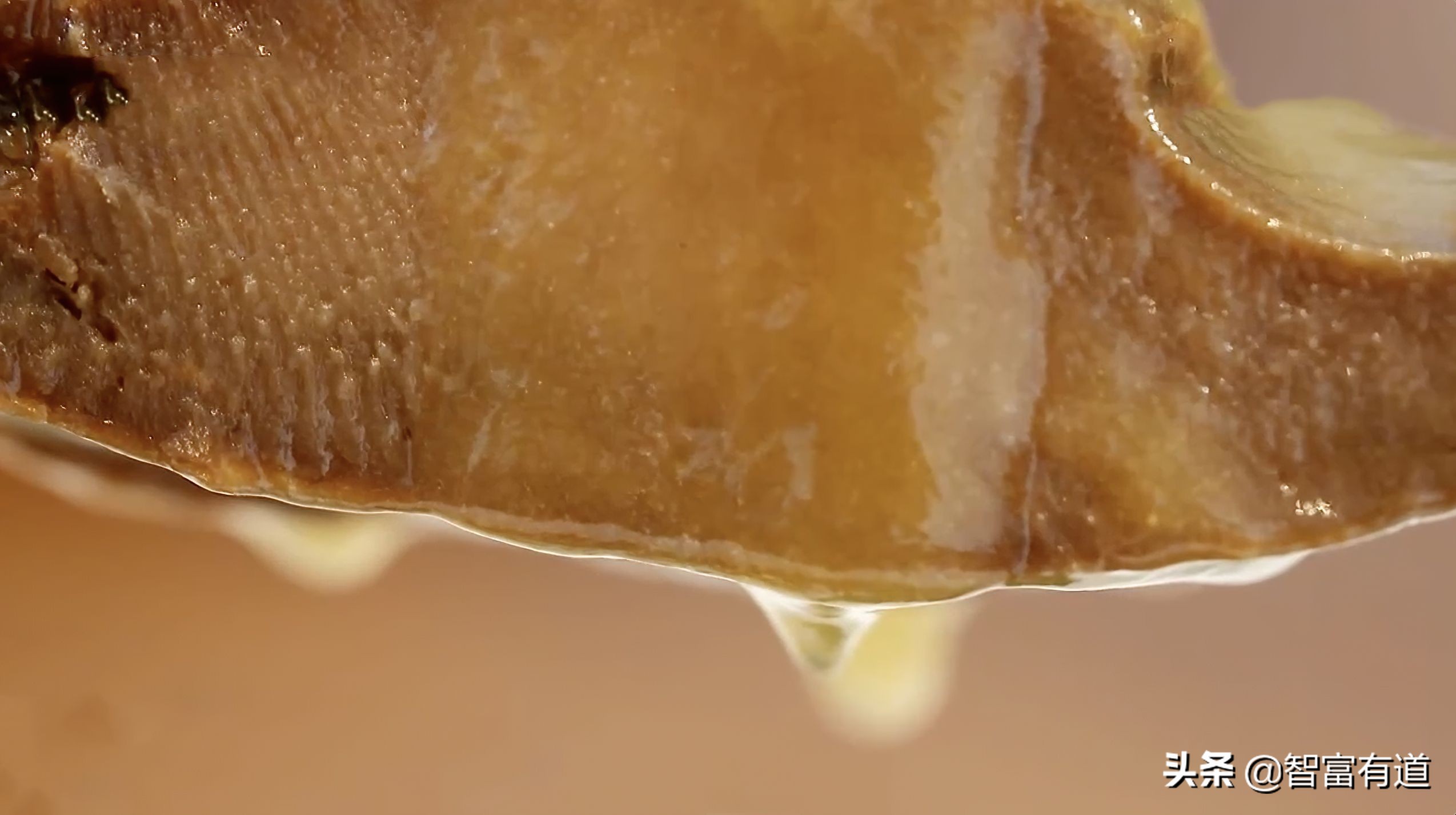 7.8个头的鲍鱼,比头还大的大连鲍鱼