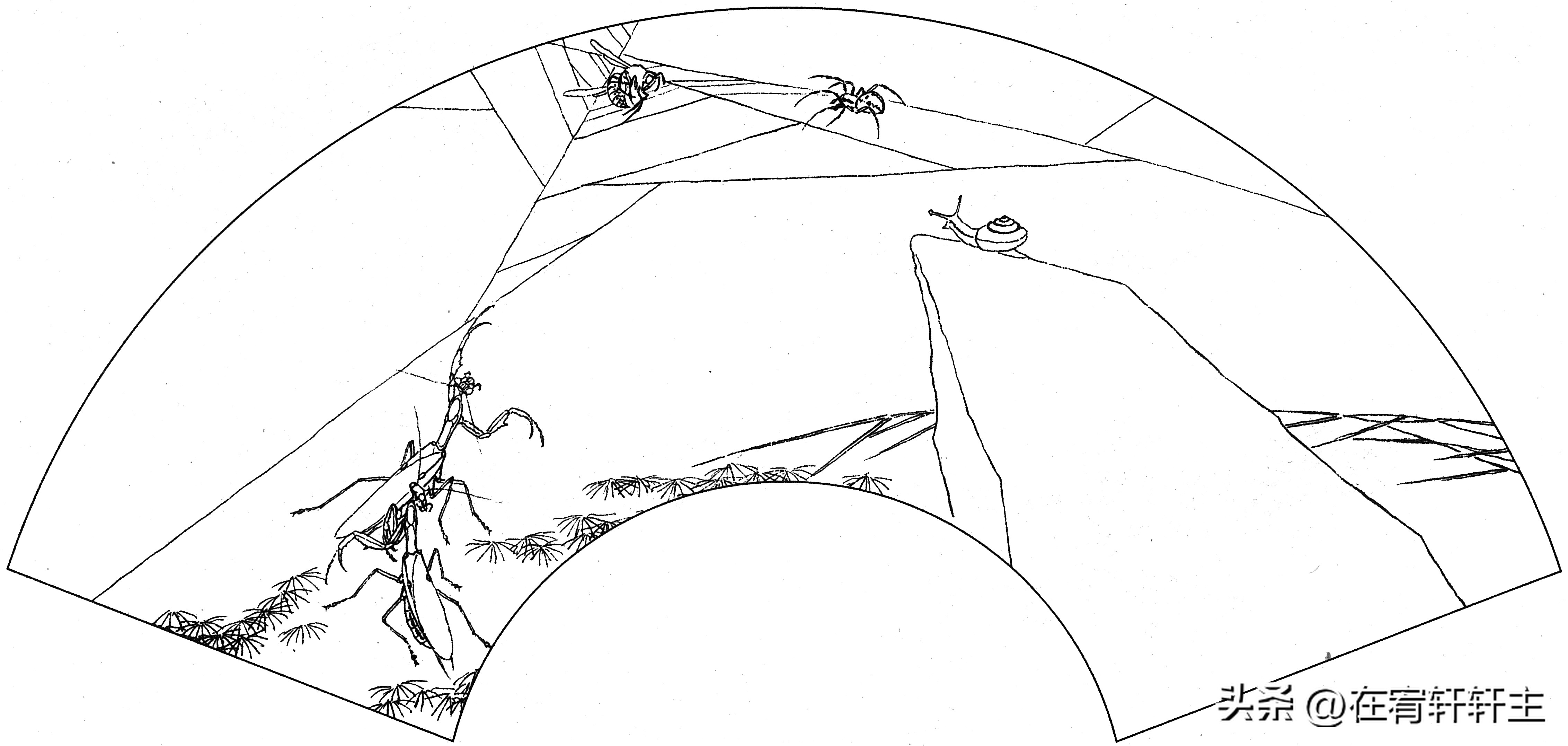 工笔白描祥云图案扇面,工笔扇面葡萄白描图片