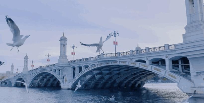 冬季洱海看海鸥最佳地方,这个冬天洱海该有多浪漫