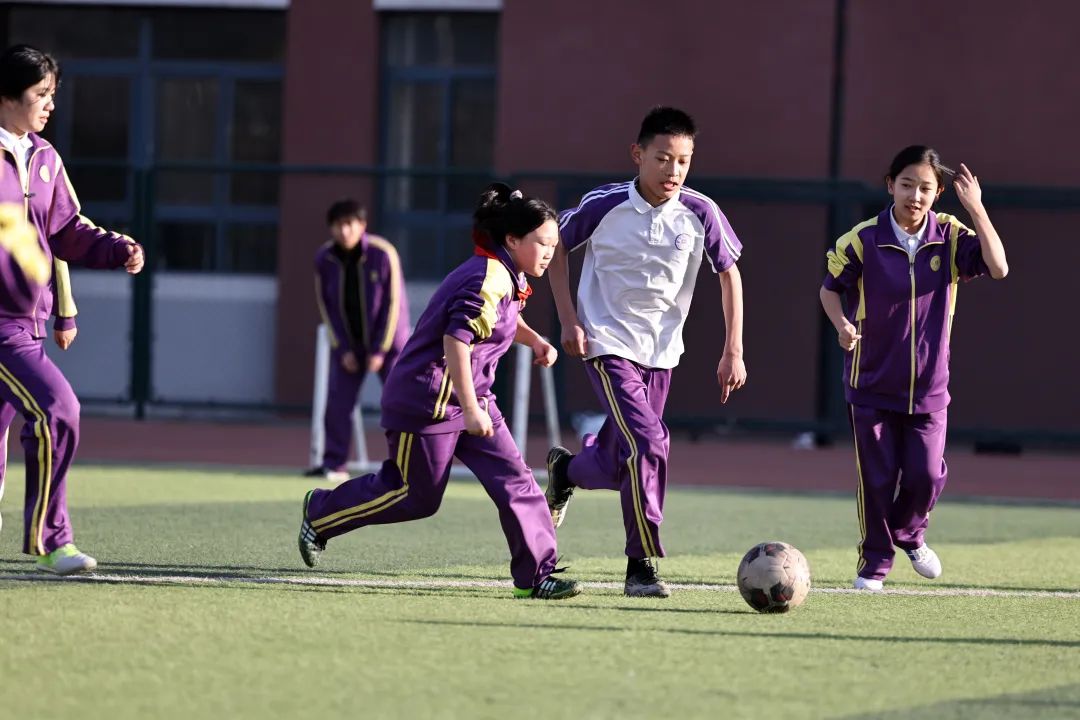 天津16区教育资源排名,天津教育内部消息