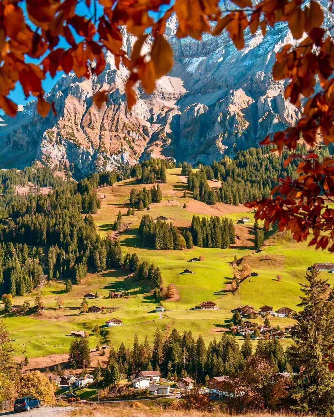 答友人：从诗的审美取向论诗歌的正确方向