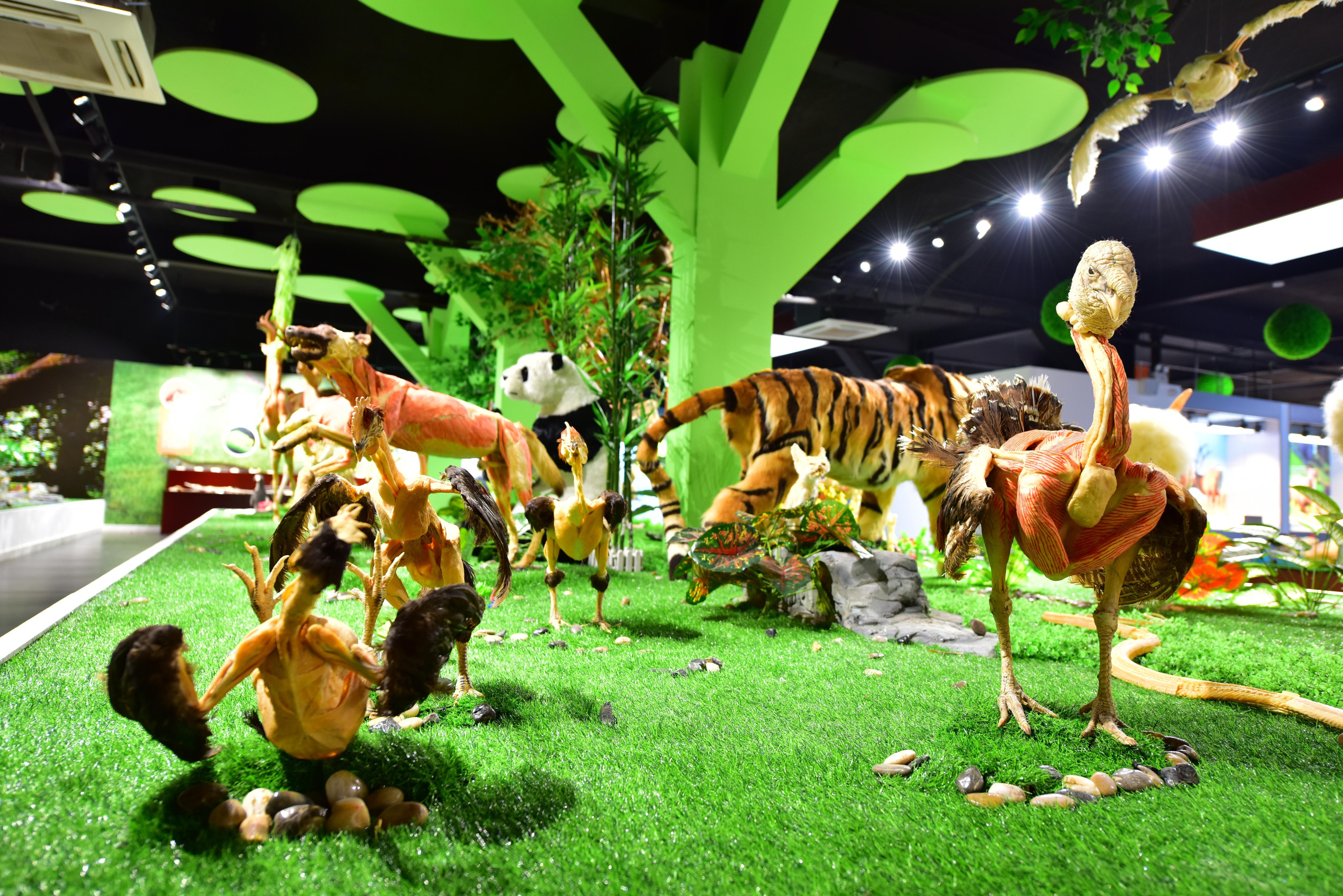 郑州九区遛娃游玩排行榜前十名,郑州遛娃打卡地点推荐