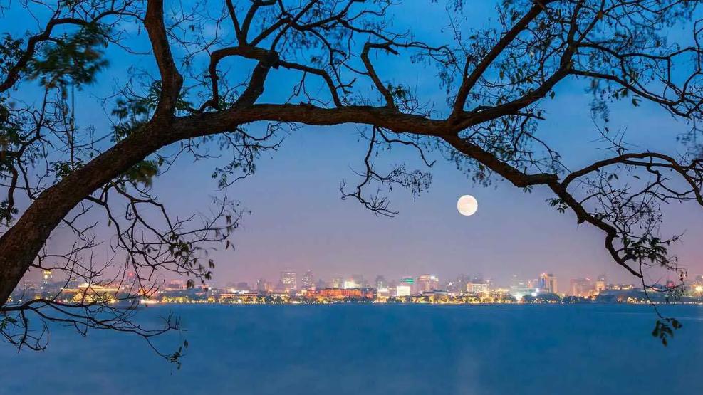 《月夜》古诗词鉴赏6篇,月夜的诗词有哪些表达了什么情感