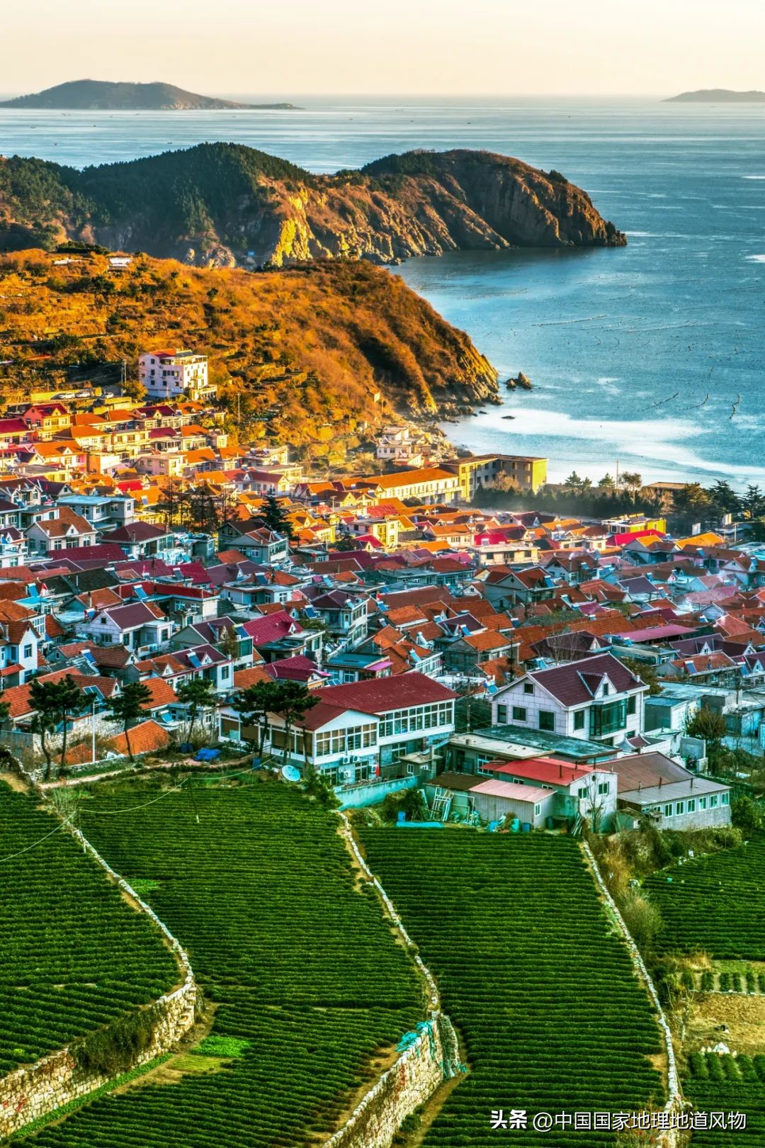 中国第一海鲜大省,中国第一海鲜怎么样