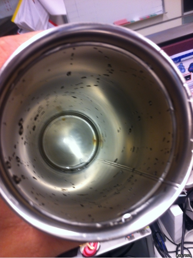 19种保温杯遭央视曝光！重金属超标热水进“毒水”出，家长需谨慎