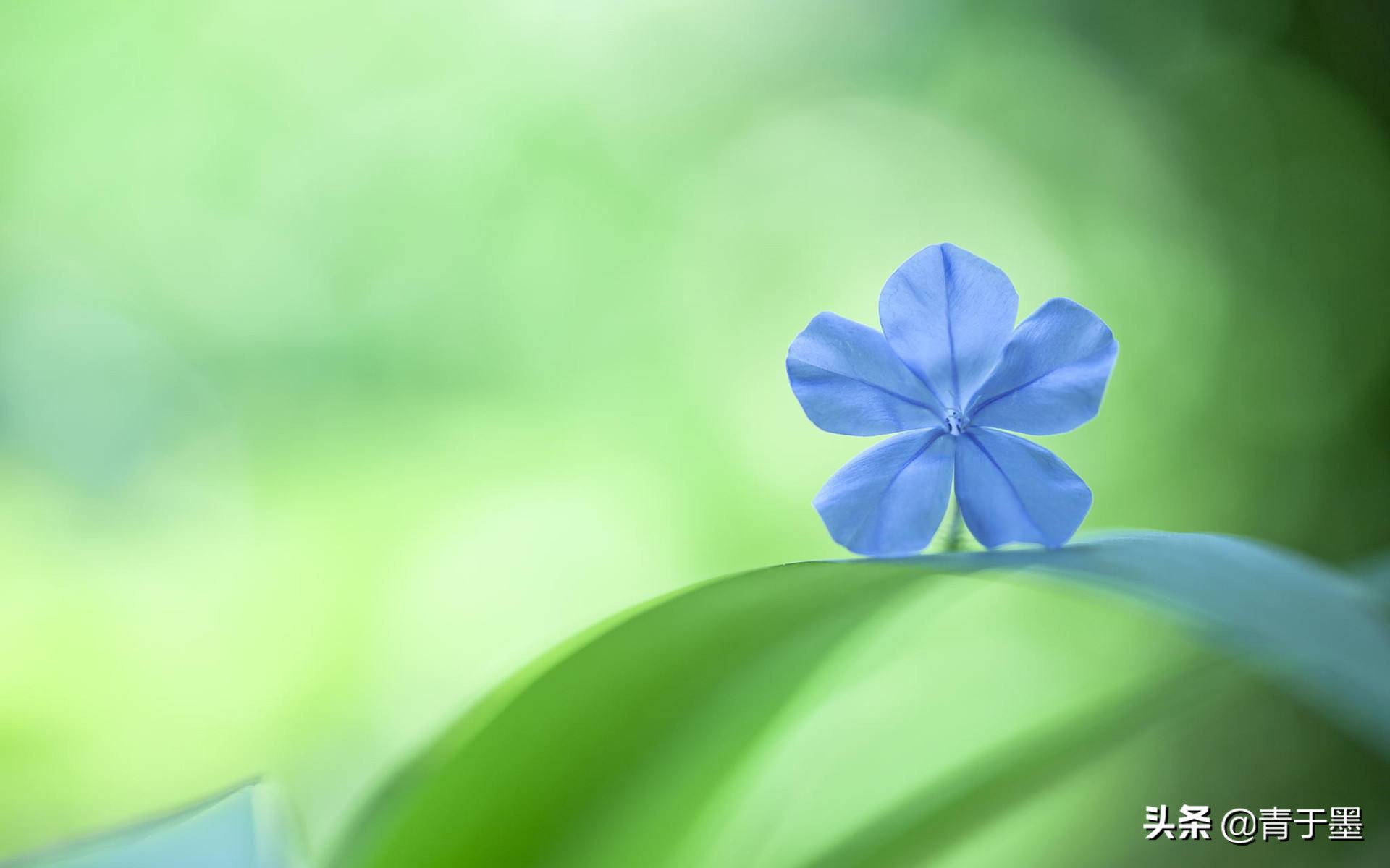 活着余华最经典的十句话,活着余华对人生的感悟