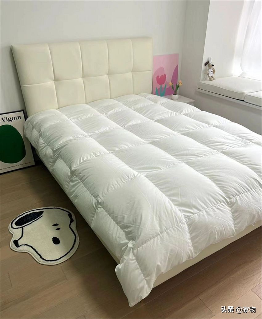 换了2次羽绒被，才搞懂几百和几千的差别在哪！全是大实话