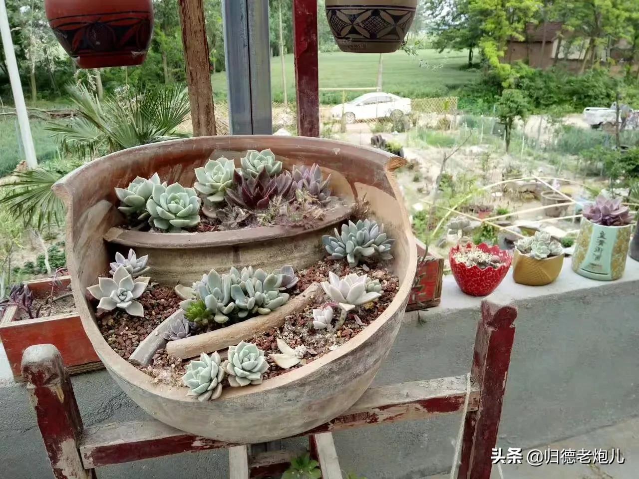 商丘农庄招商,商丘市快乐农庄