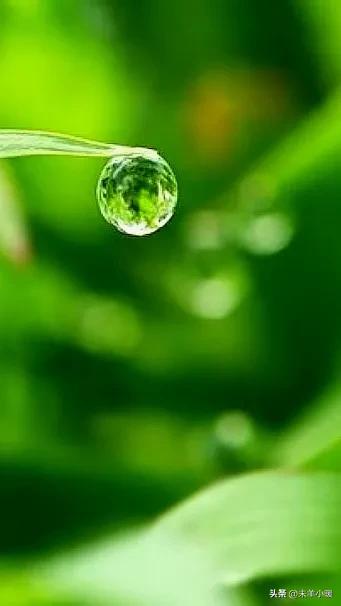 最美的手机壁纸大全,养眼养心的壁纸