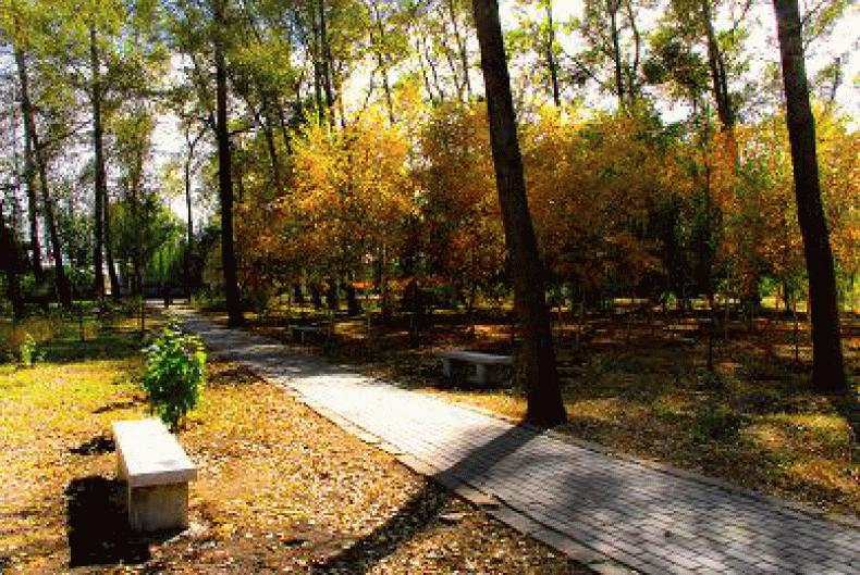 东北师范大学吉林地理科学,东北师范和长春师范大学