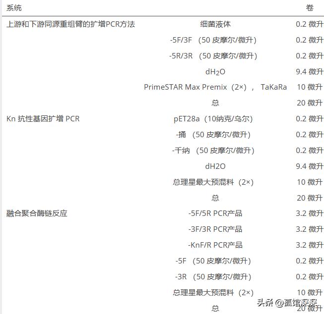 奇异性变形杆菌,奇异变形杆菌内源性感染