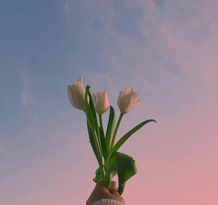 人的一生有时间和自己度过的,人最重要的是过好自己的日子