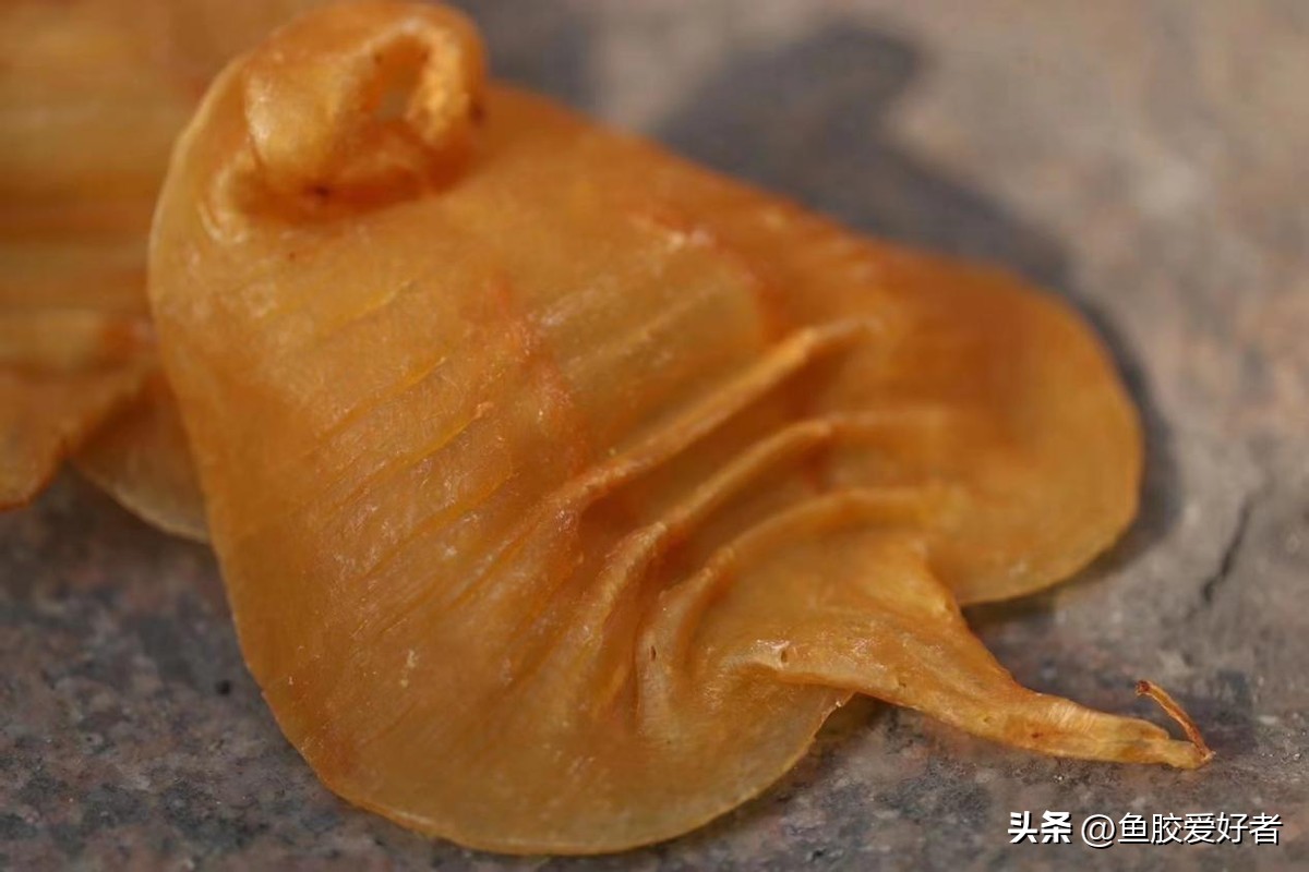 鱼胶是否智商税,鱼胶到底值不值得买