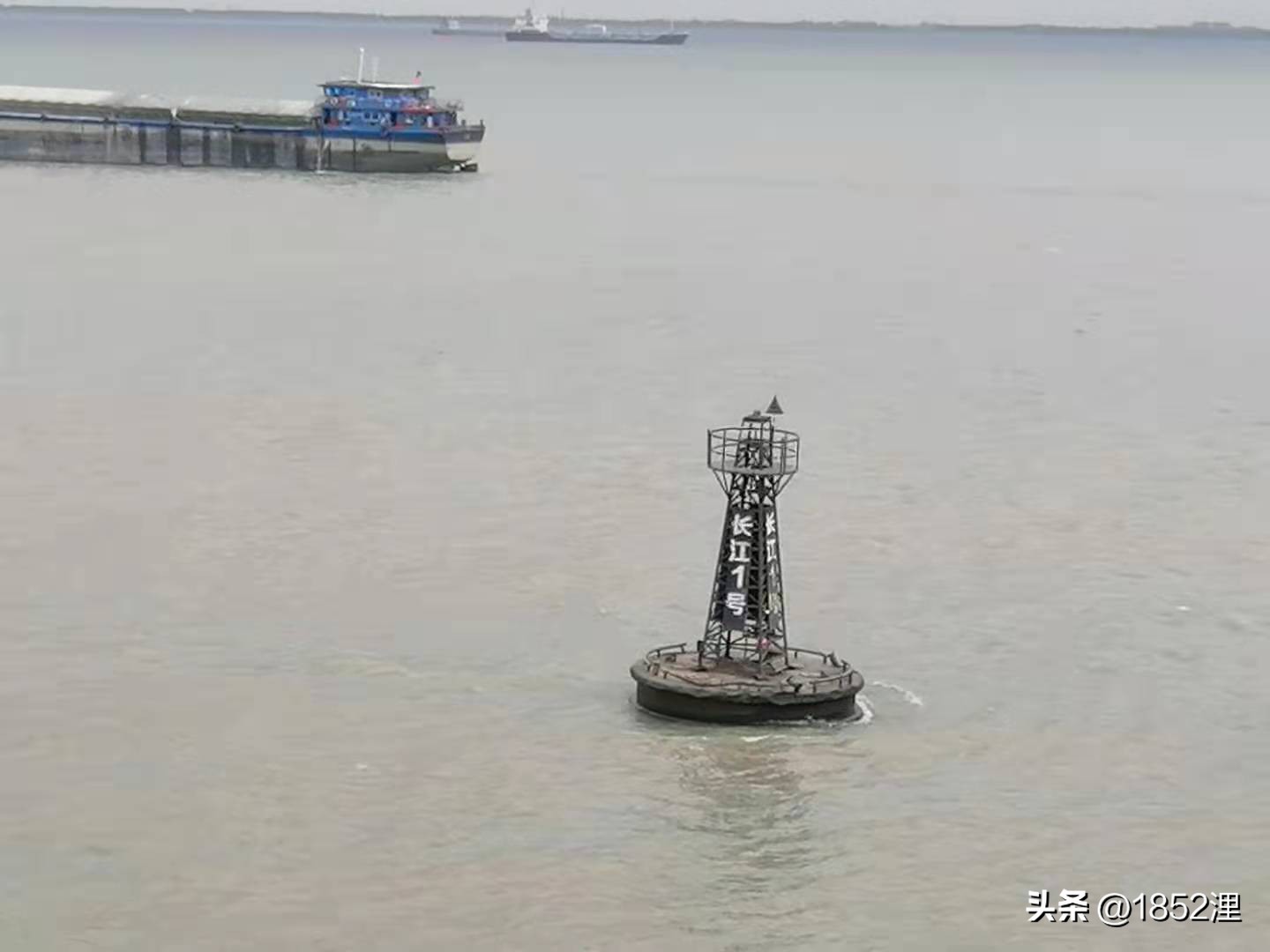 航运引航员,高级船舶引航员