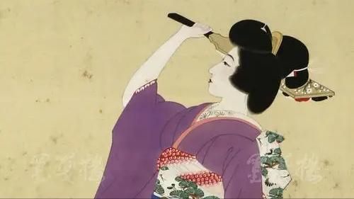 日本的幕府政治制度模式,日本幕府统治危机原因