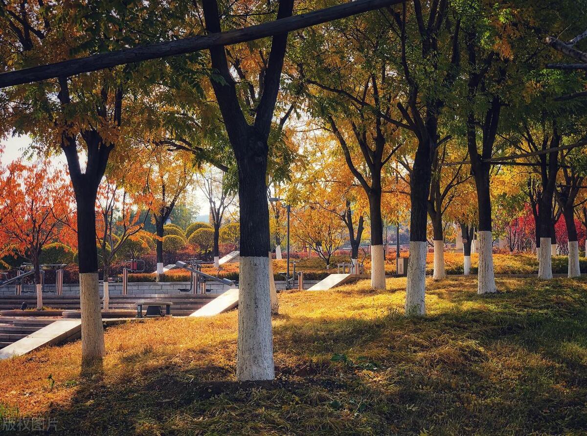 拉萨旅游地区打卡地点介绍,拉萨周边网红打卡景点