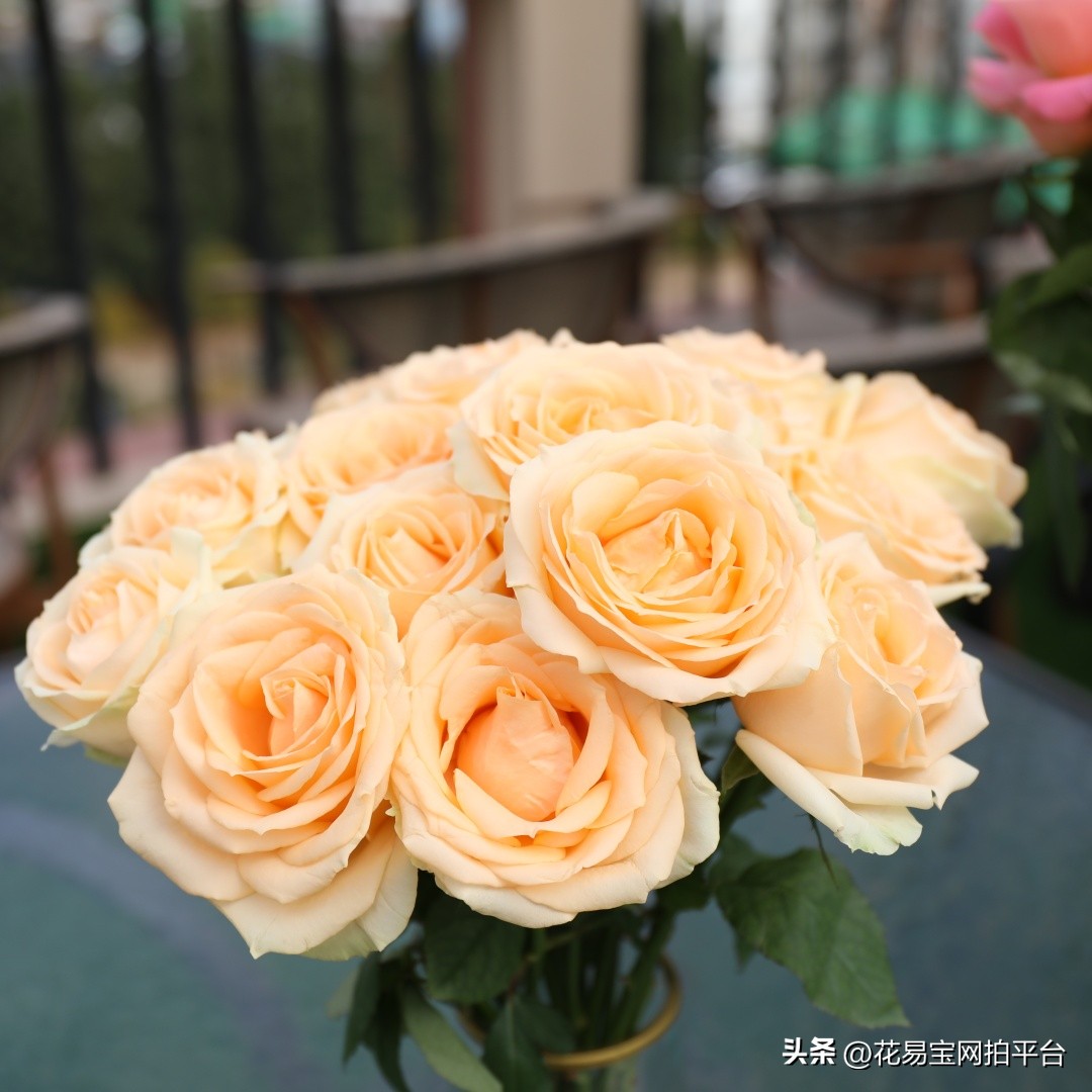 女神节快到了，哪些花材值得备货？内含优质卖家推荐！