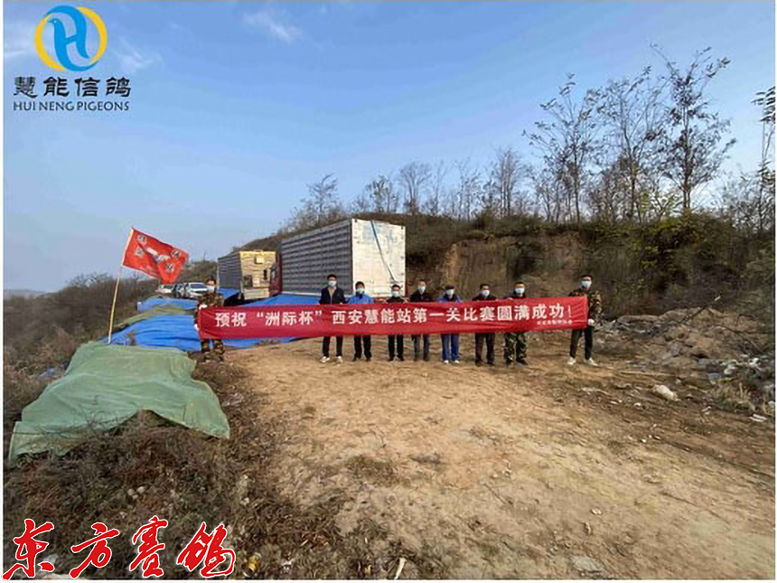 21年惠能秋棚决赛获奖鸽照片,慧能信鸽秋棚直播