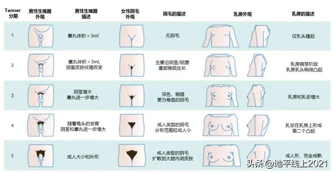 女孩青春期会持续几年呢？什么样的延长或缩短需要就医？