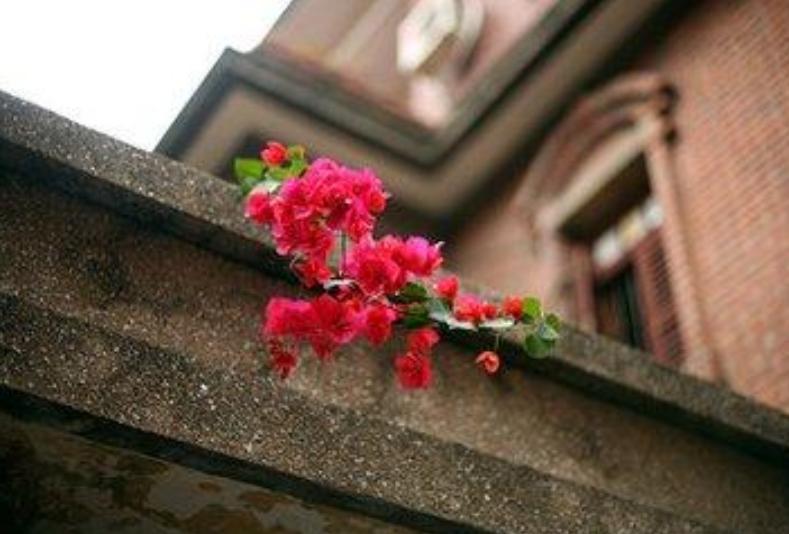 蓝红白黑黄各种颜色的含义,红橙黄绿青蓝紫七种颜色的意义