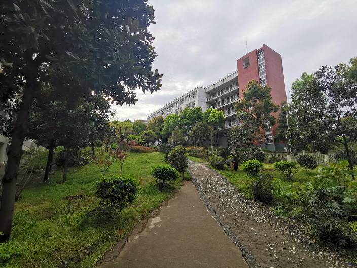 黄陂市新洲一中怎么样,武汉新洲一中与黄陂一中哪家强