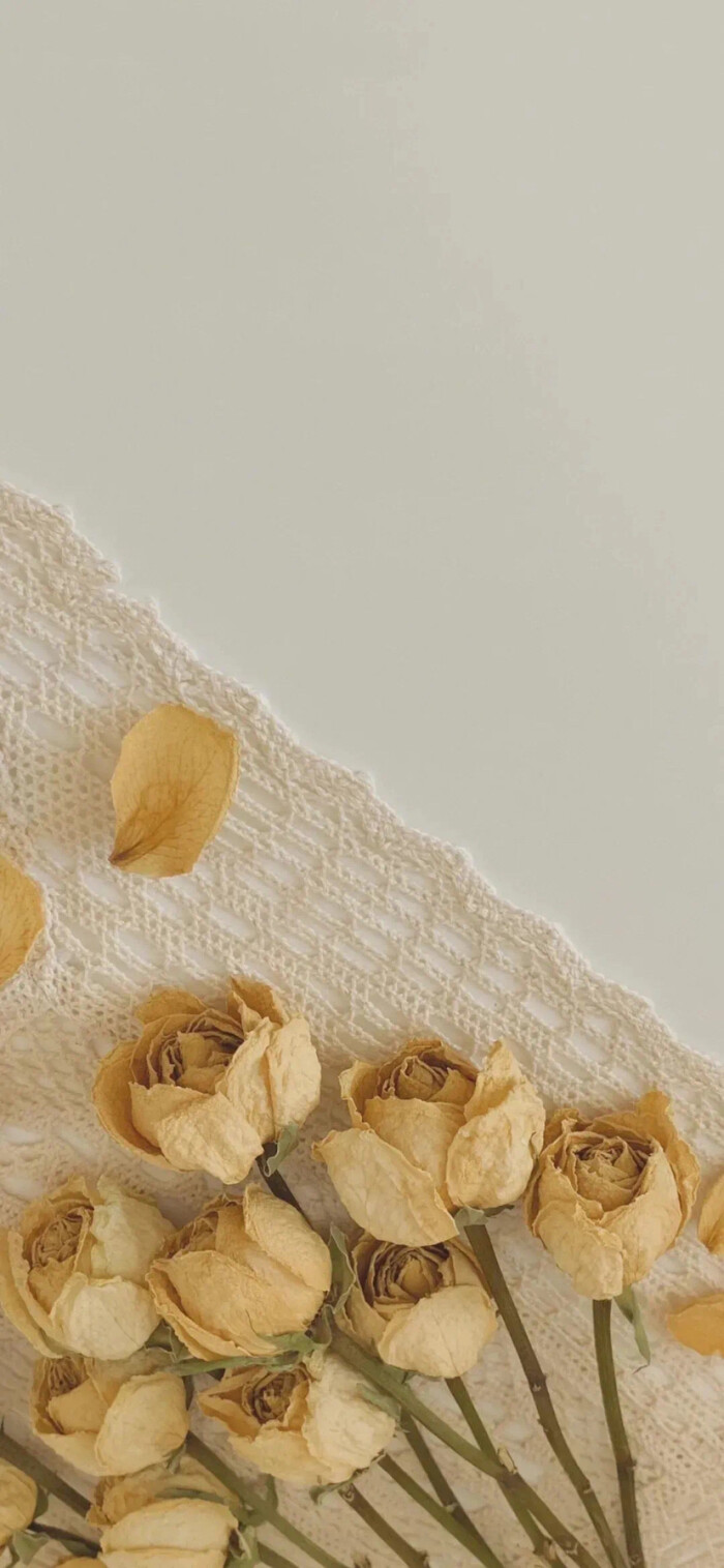 街角花店图片壁纸,花店壁纸图片大全