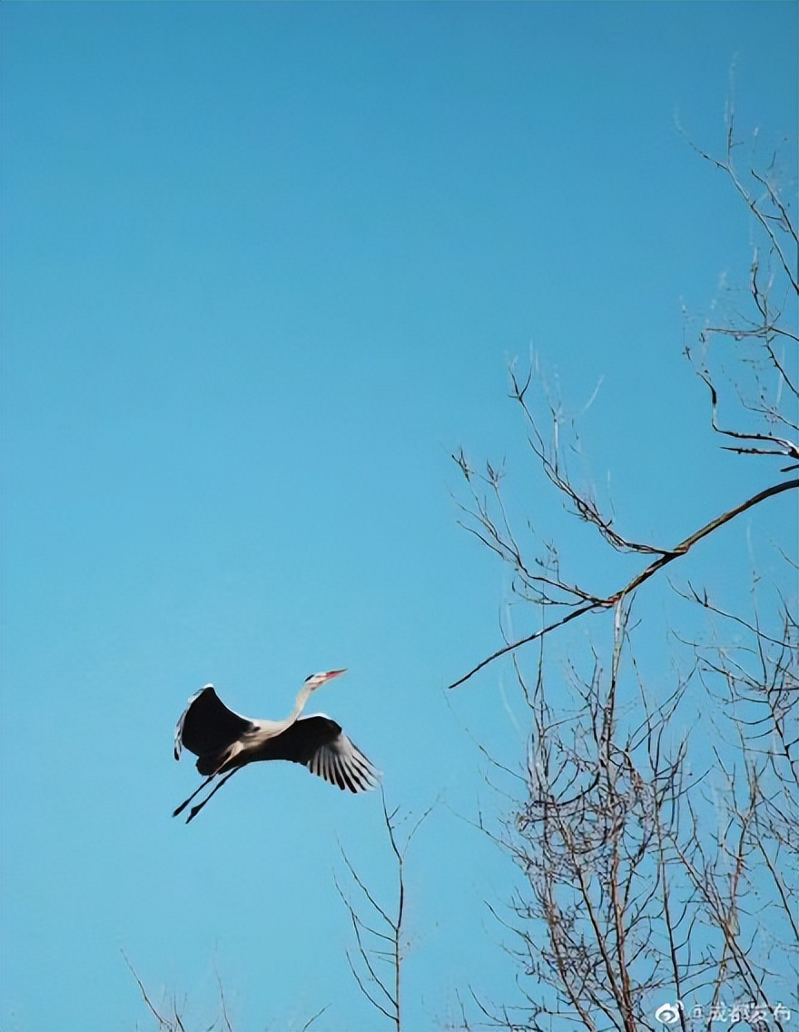 好玩的遛娃公园成都,成都南边公园免费景点