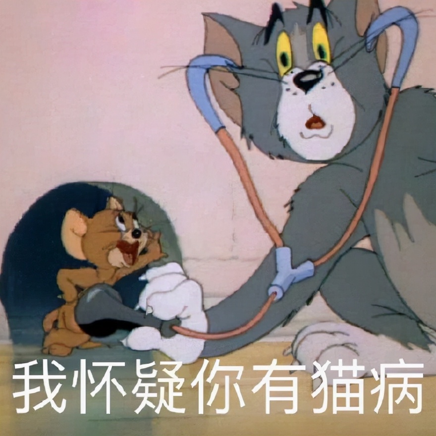 如何自己检查猫咪健不健康,怎么自测捡回来的猫咪健不健康