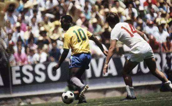 南美足球有几个世界杯冠军,南美世界杯有多少个