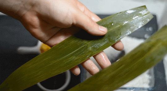 手残党怎么包四角粽子,六个月以上宝宝粽子做法