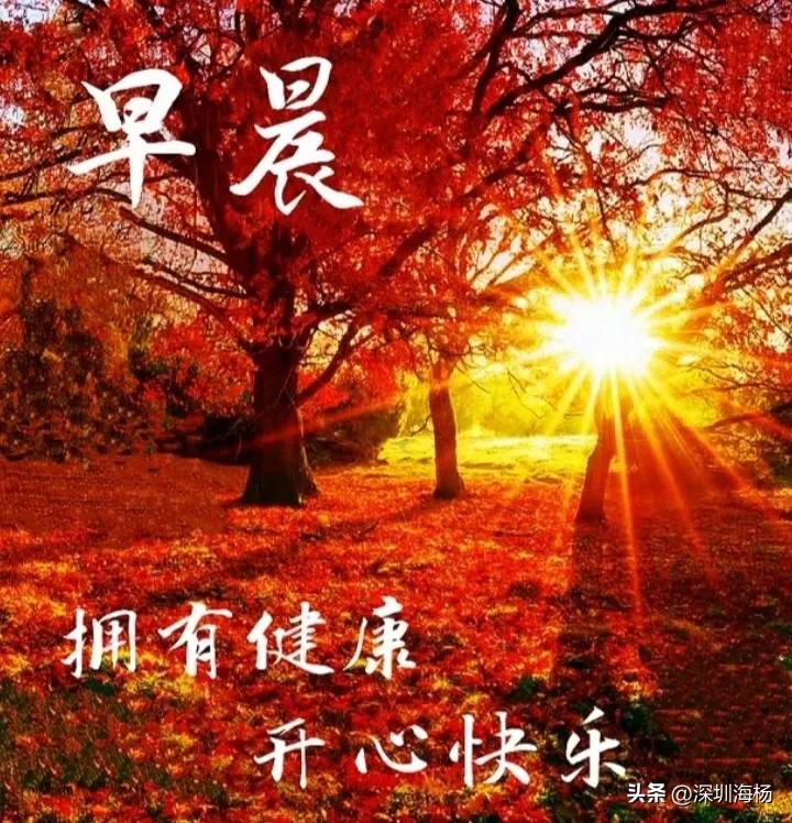 头条创作灵感是用来写作吗,头条正确写作方法