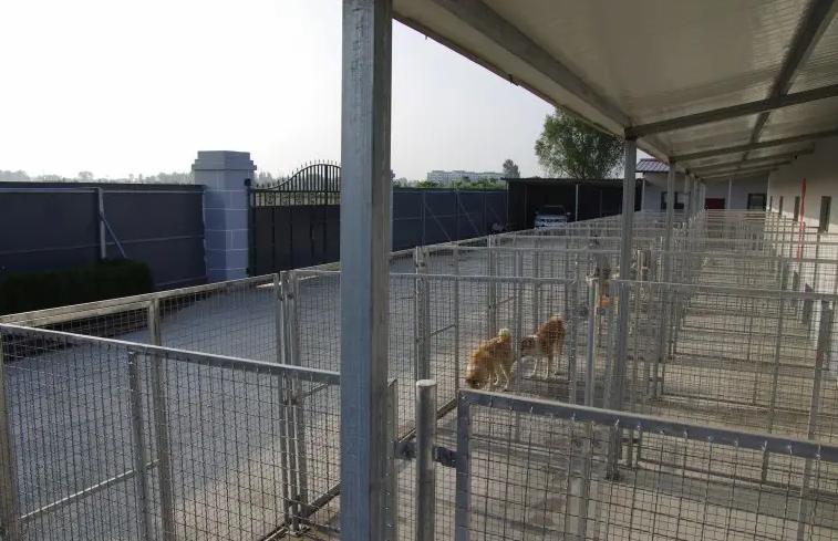 犬舍需要办什么手续,犬舍需要营业执照吗