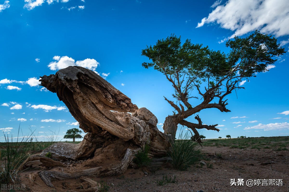 钝感力让你从容面对生活中的挫折,生活中的挫折要勇敢面对