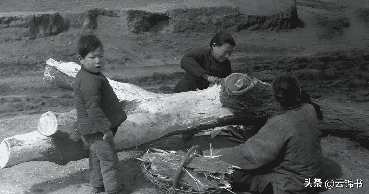 30张五六十年代老照片,30张老照片告诉你