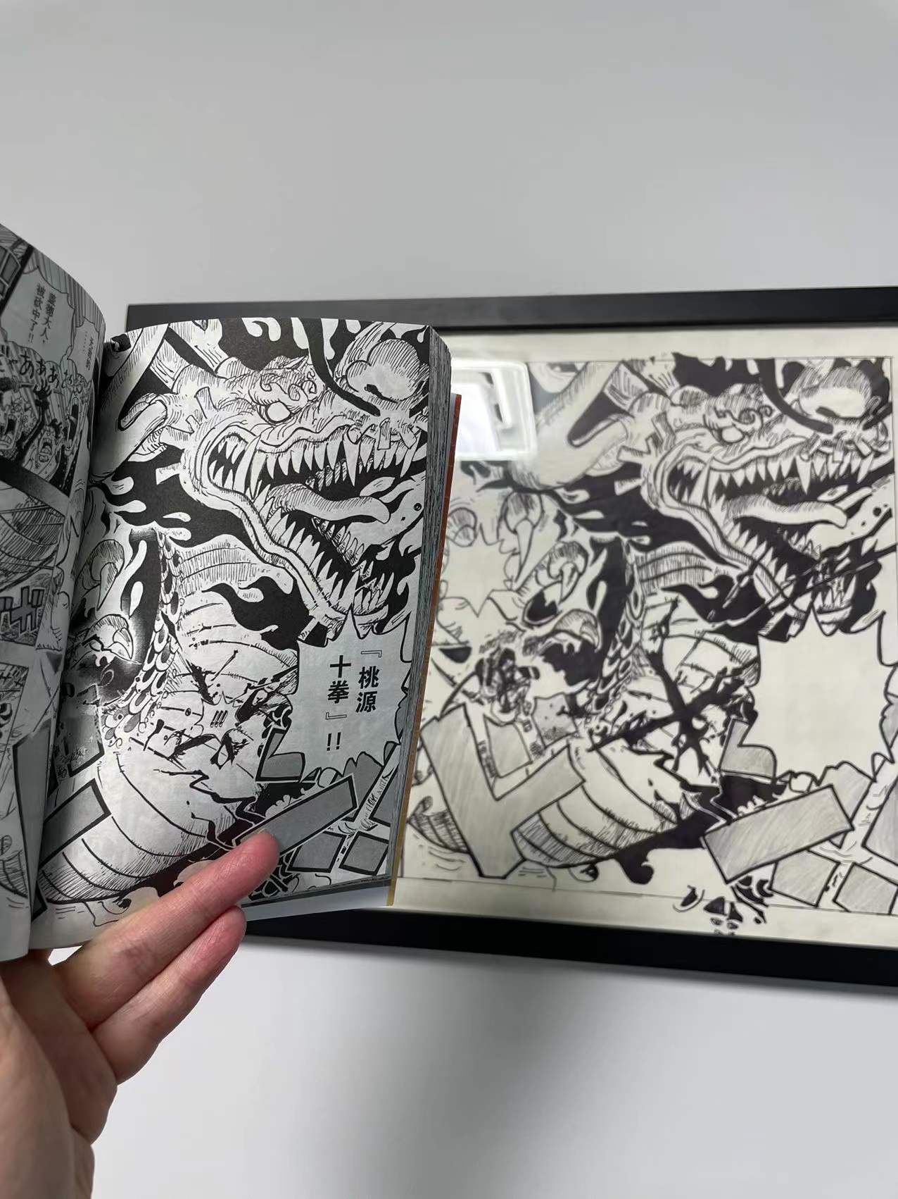 海贼王最新话漫画书哪里可以买到,最值得买的海贼王漫画单行本