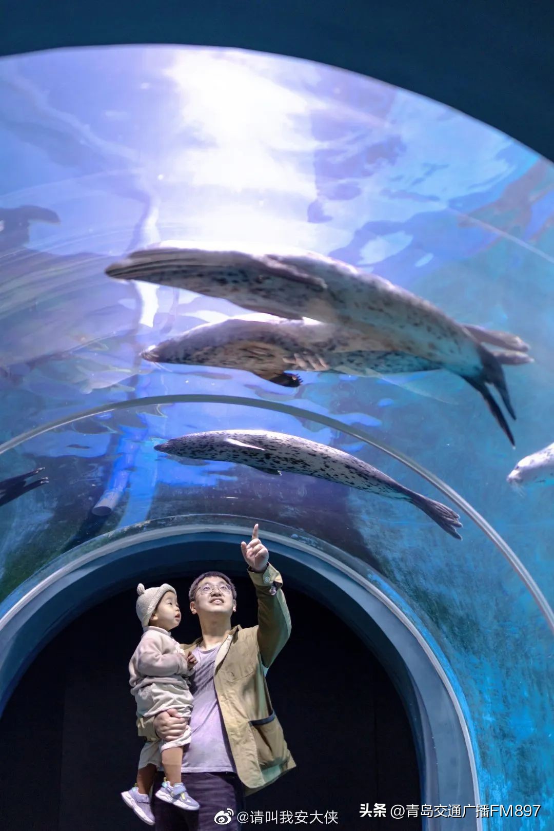 市南游+N|6·18怎么过？一大波酒店福利全部给你安排好了