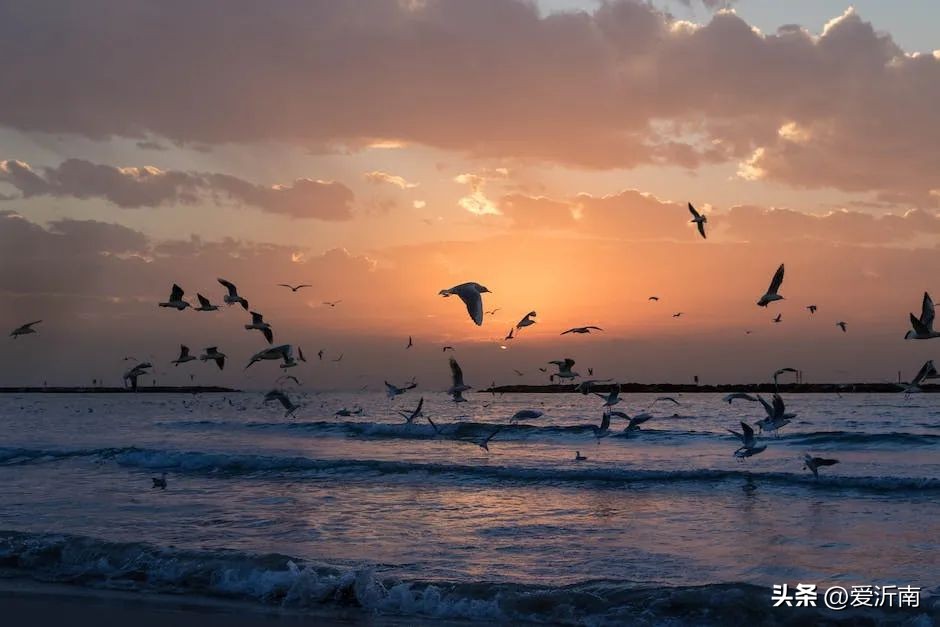 你的微信名早已暴露了你的一切,微信名看性格分析