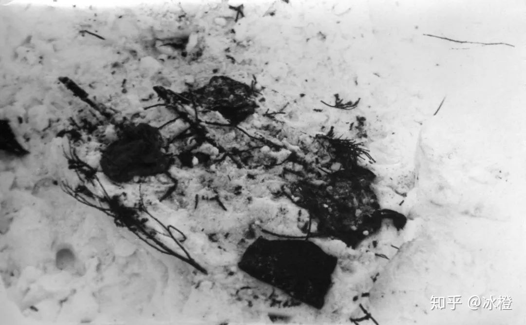 前苏联迪亚特洛夫登山事件,迪亚特洛夫登山视频