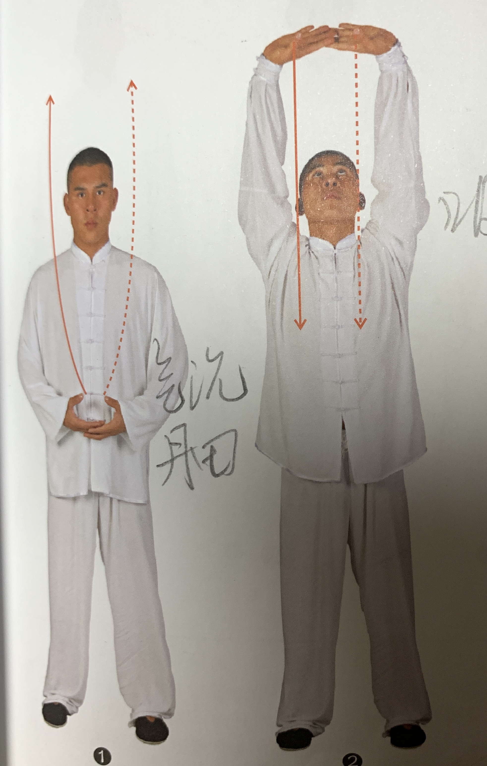 少林释行宇演示的八段锦,周星驰电影功夫合集