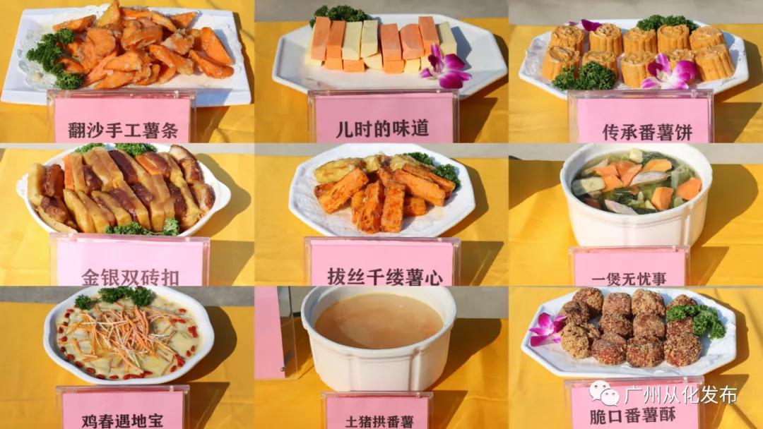 高山番薯广东广州从化地区的特产,哪个品种的番薯香甜软糯好吃