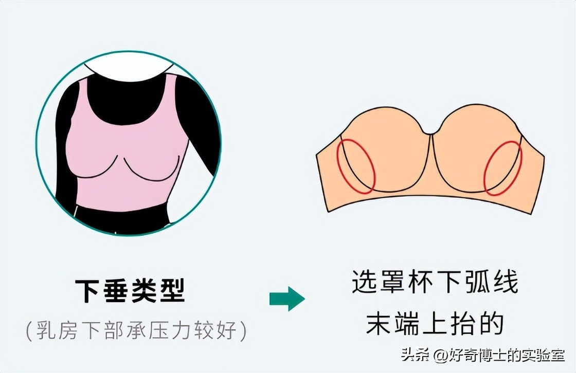 女生穿抹胸为啥不会往下掉？（男生禁入）