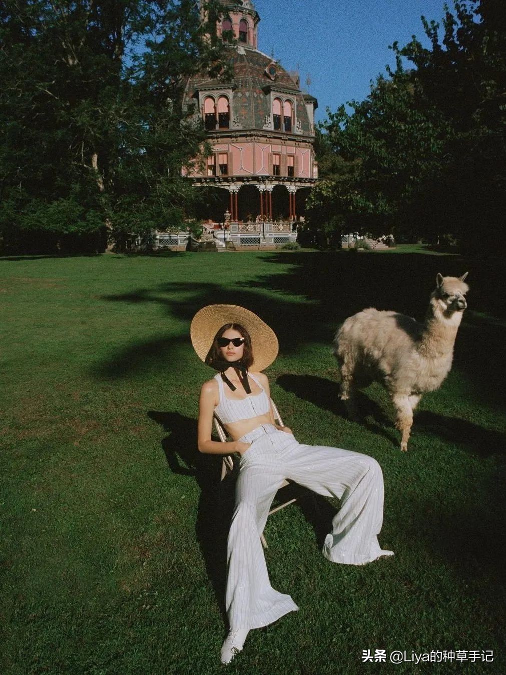 夏天必备的草编包清爽又百搭,草编包高级感时尚漂亮