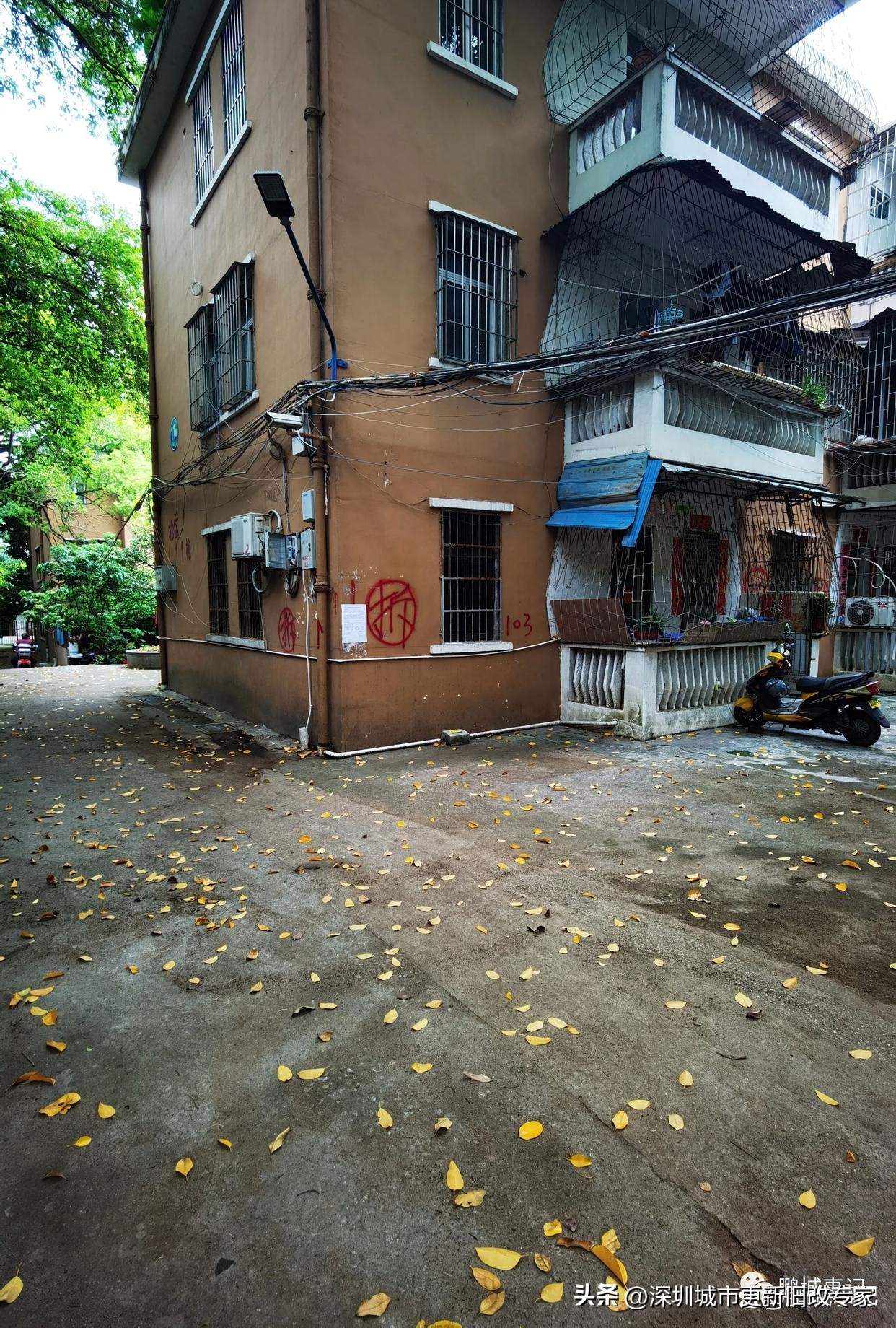 光明办公大楼旧改项目,光明集团办公大楼改造