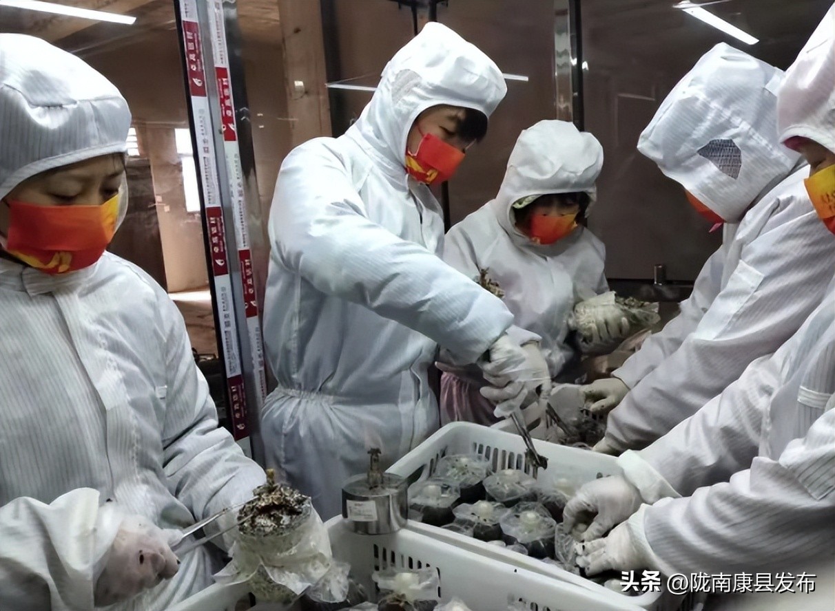 【身边榜样】（第4期）——三河坝镇县政协委员郭睿：乡村振兴路上的产业致富带头人