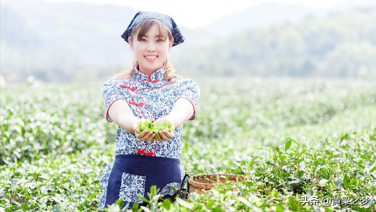 乡野往事｜杏花坪琐事（59）