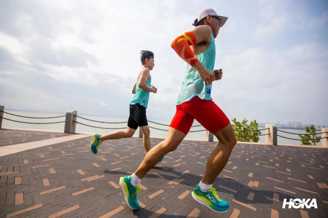 从阿尔卑斯山脉滑雪下来,从阿尔卑斯山飞下去