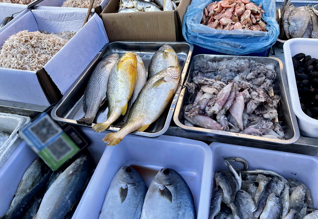 带大家看看东北早市物价多便宜,看东北早市物价冬天囤菜